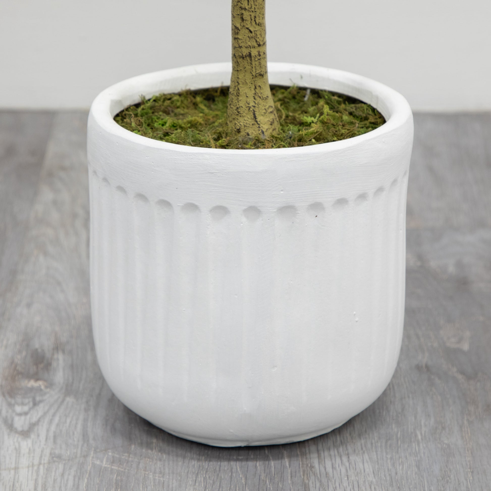 6' Artificial Olive Tree in Ceramic Planter