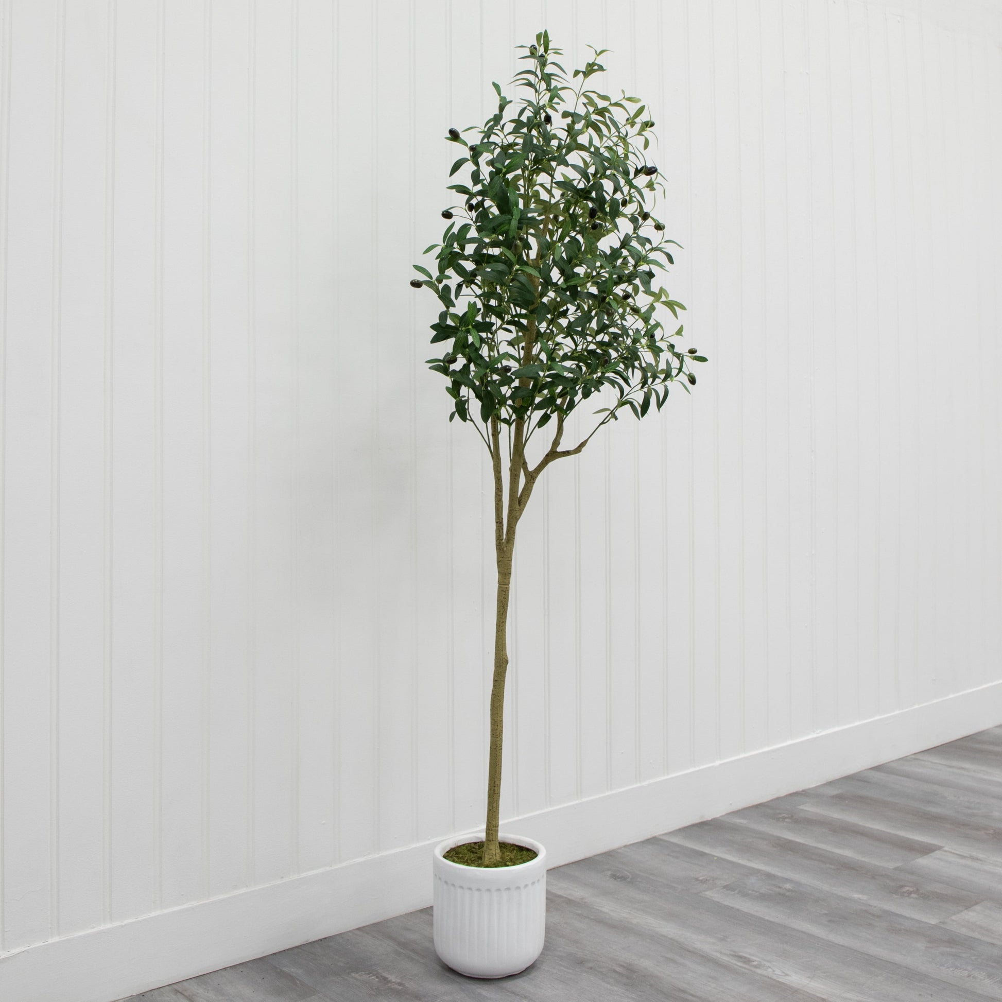 6' Artificial Olive Tree in Ceramic Planter