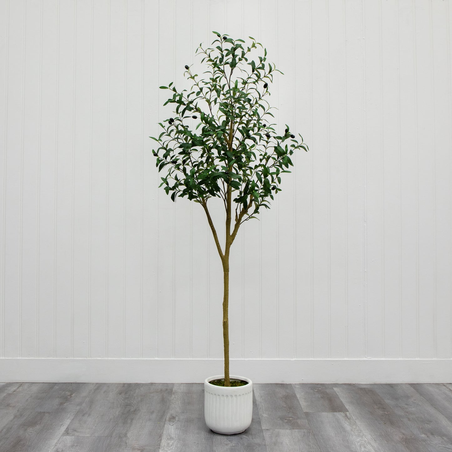 6' Artificial Olive Tree in Ceramic Planter