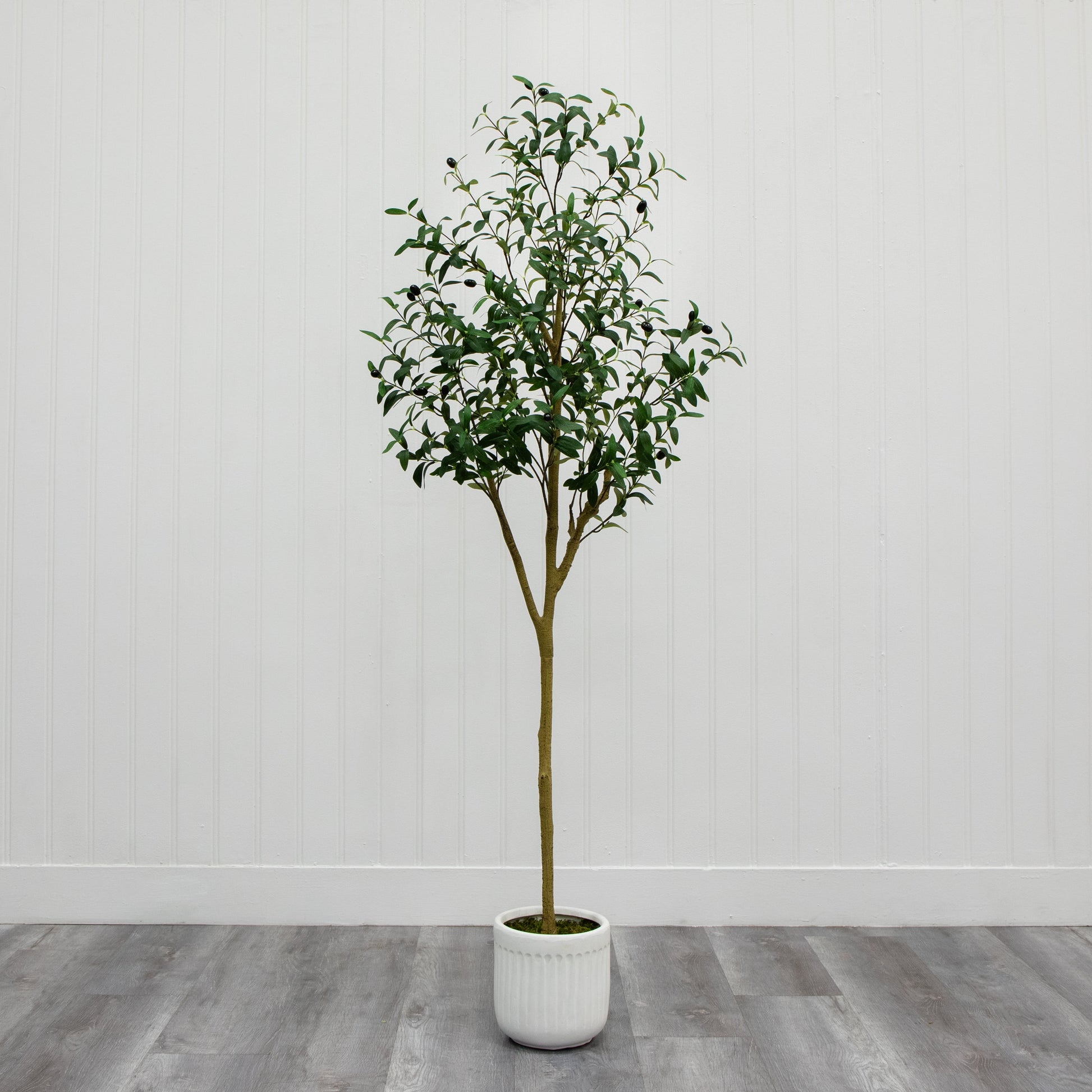6' Artificial Olive Tree in Ceramic Planter