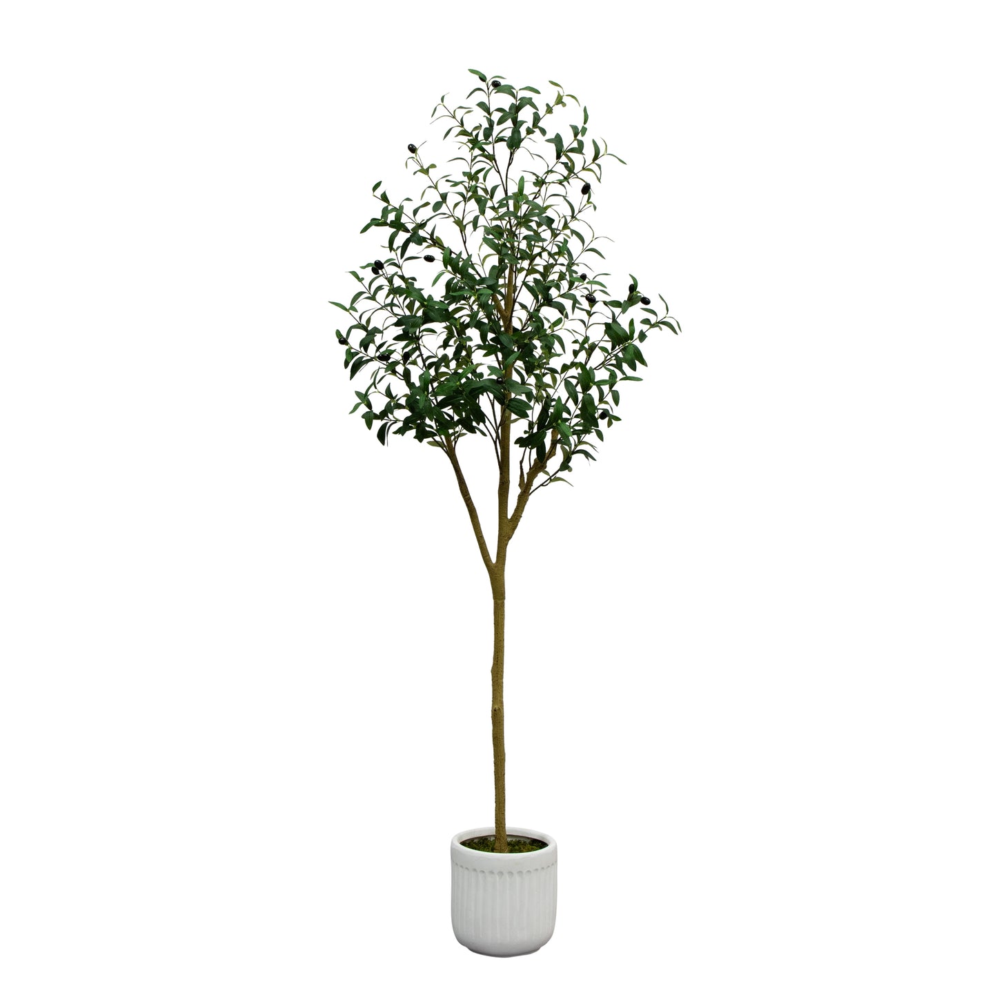 6' Artificial Olive Tree in Ceramic Planter