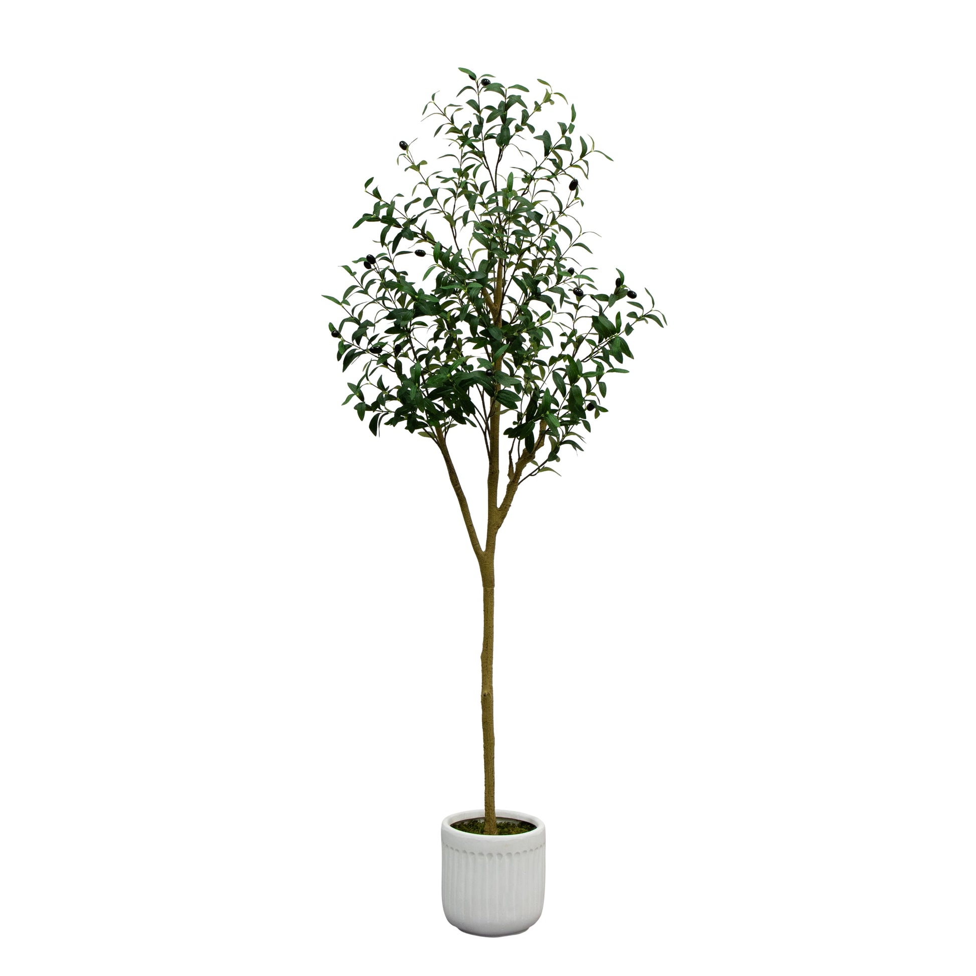 6' Artificial Olive Tree in Ceramic Planter