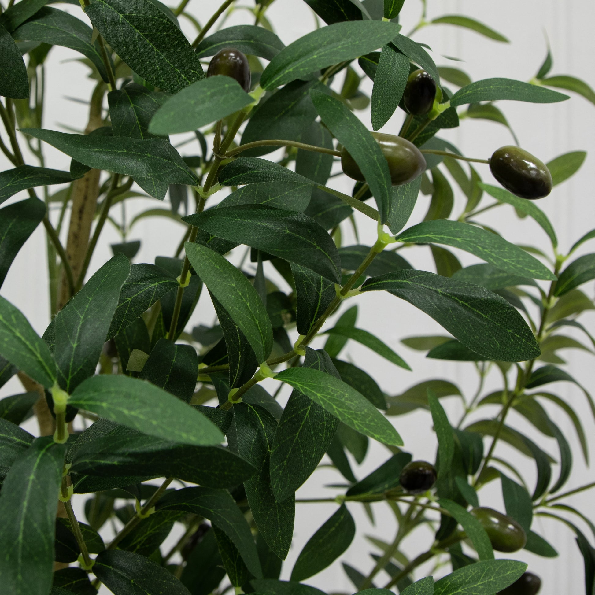 6' Artificial Olive Tree in Ceramic Planter